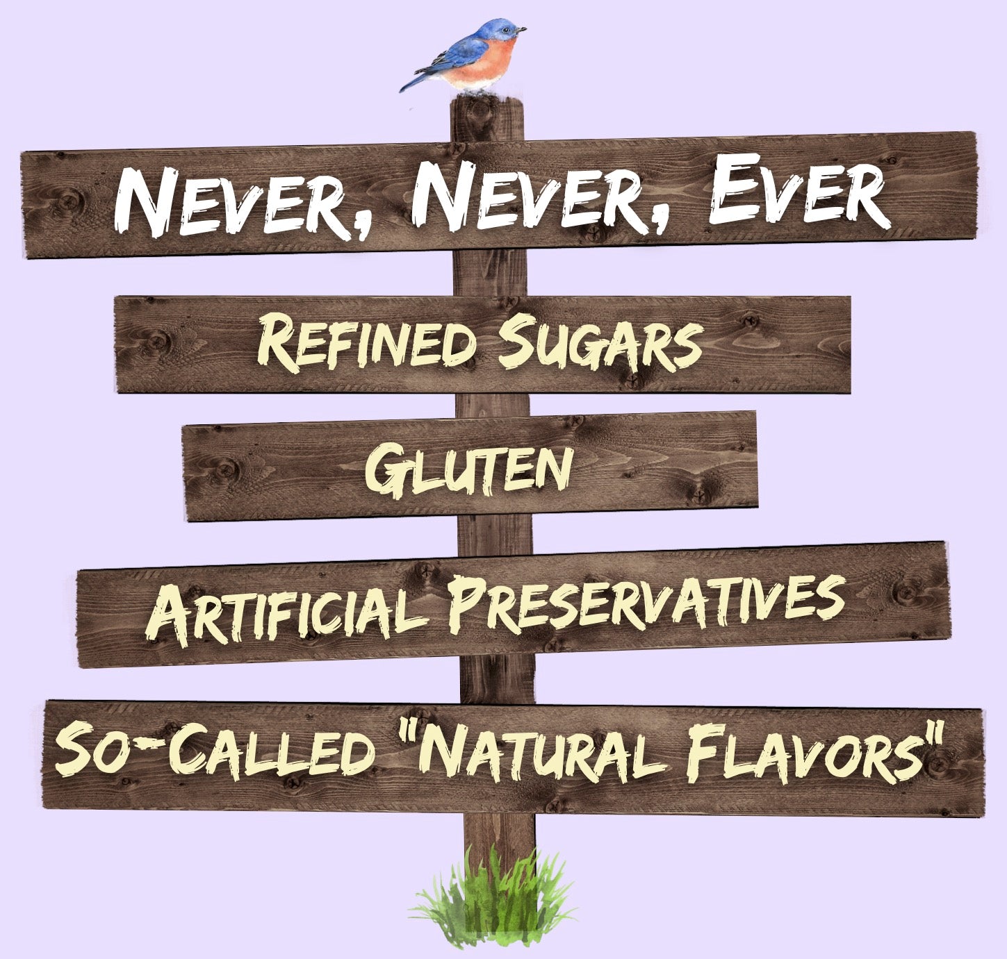 Wooden Signs saying "Never, Never, Ever: Refined Sugar, Gluten, Artificial Preservatives, or so-called "natural flavors"